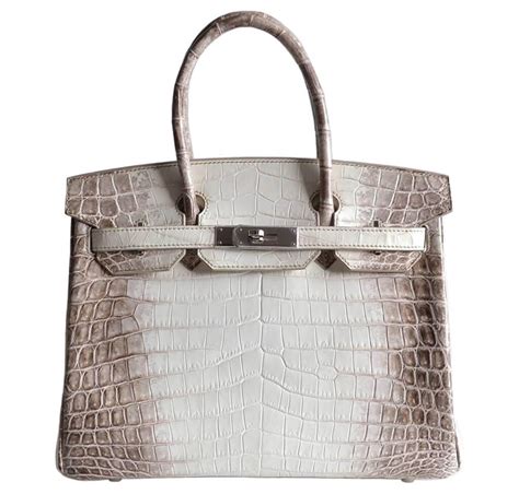 niloticus birkin size.